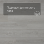 QS SPC Atmosphere ASPC 20249 Дуб светлый гладкий