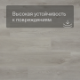 QS SPC Canyon CSPC 20295 Дуб северный серый