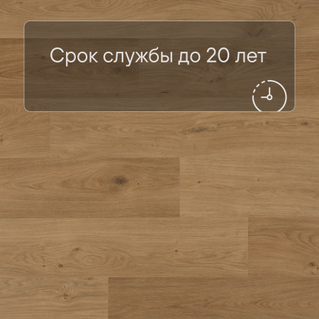 QS Second choice Alpha BLOS BASE  SPE40320 - AVSPT 40320 Дуб береговой медовый