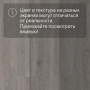 QS LIVYN Balance Click Plus BACP 40060 Дуб шелковый темно-серый