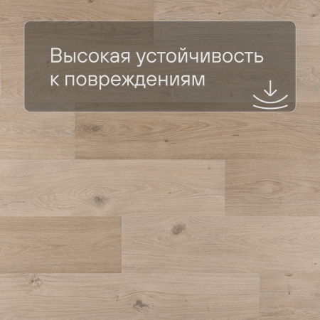 QS Second choice Alpha BLOS BASE  SPE40321 - AVSPT 40321 Дуб береговой бежевый