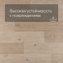 QS Second choice Alpha BLOS BASE  SPE40321 - AVSPT 40321 Дуб береговой бежевый