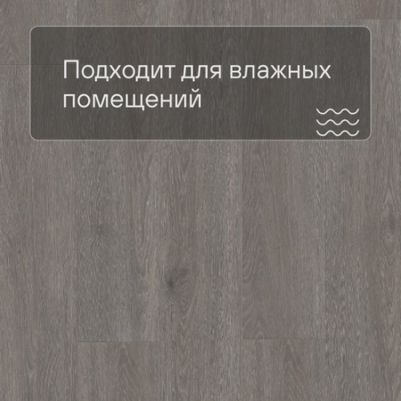 QS LIVYN Balance Click BACL 40060 Дуб шелковый темно-серый