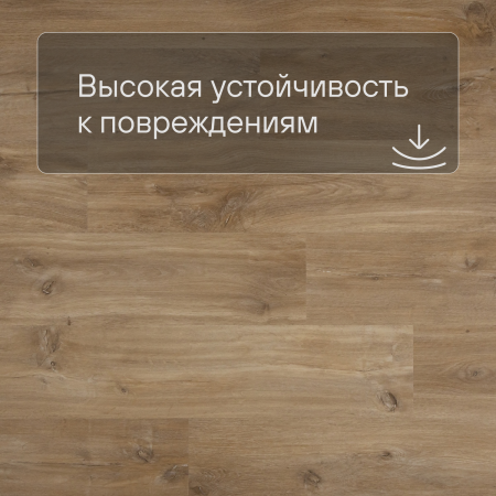 QS Second choice Alpha BLOS BASE  SPE40039 - AVSPT 40039 Дуб каньон натуральный