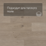 QS Second choice Alpha BLOS  SPE40322 - AVSPU 40322 Дуб береговой песчаный