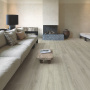 Alpha Vinyl Medium Planks AVMP 40237 Эко серый