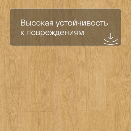 Quick Step LIVYN Balance Glue Plus BAGP 40033 Дуб натуральный отборный