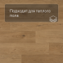 QS Second choice Alpha BLOS BASE  SPE40320 - AVSPT 40320 Дуб береговой медовый