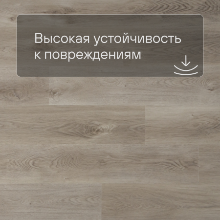 QS SPC Canyon CSPC 20294 Дуб северный бежевый