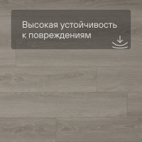 QS SPC Atmosphere ASPC 20248 Дуб серый гладкий