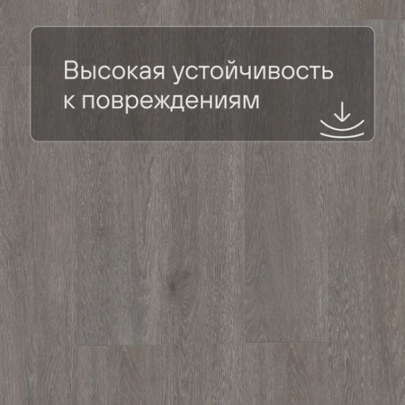 QS LIVYN Balance Click BACL 40060 Дуб шелковый темно-серый