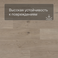 QS Second choice Alpha BLOS BASE  SPE40322 - AVSPT 40322 Дуб береговой песчаный
