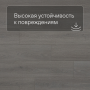 QS SPC Atmosphere ASPC 20246 Дуб светло-серый
