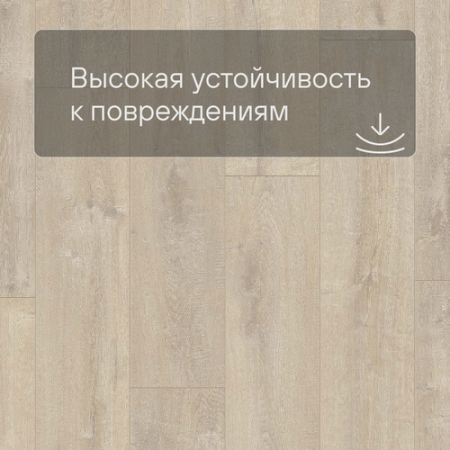 QS LIVYN Balance Click BACL 40158 Дуб бархатный бежевый