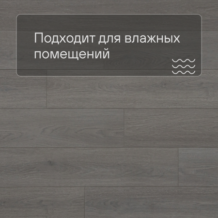 QS SPC Atmosphere ASPC 20246 Дуб светло-серый