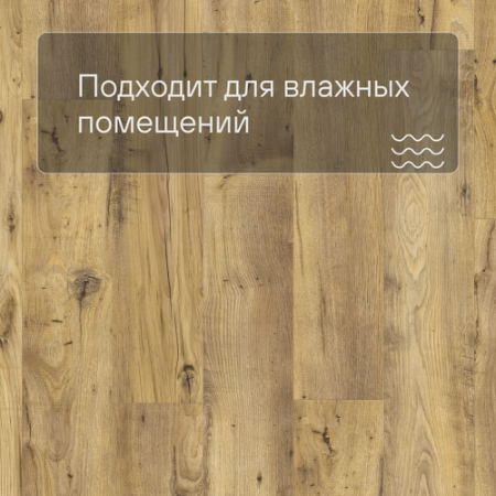 QS LIVYN Balance Click BACL 40029 Каштан винтажный натуральный
