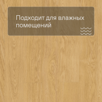 QS LIVYN Balance Click BACL 40033 Дуб натуральный отборный