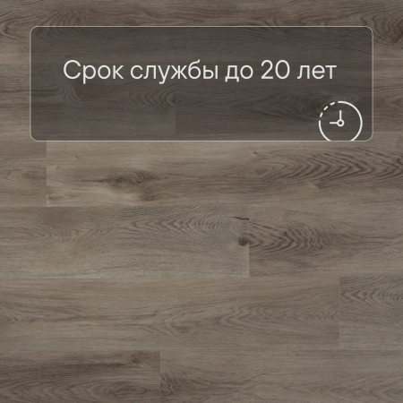 QS SPC Canyon CSPC 20296 Дуб северный греш