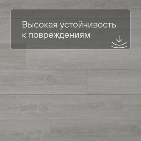 QS SPC Atmosphere ASPC 20249 Дуб светлый гладкий