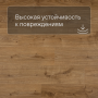 QS Second choice Alpha BLOS BASE  SPE40025 - AVSPT 40025 Дуб коттедж натуральный
