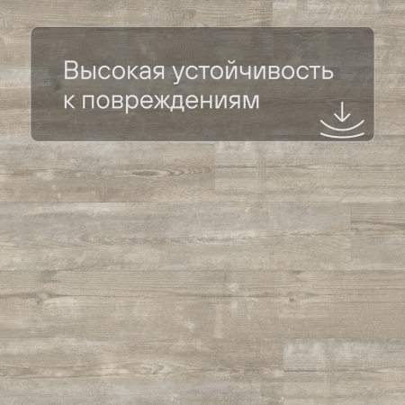 Alpha Vinyl Medium Planks AVMP 40074 Утренняя сосна