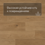 QS Second choice Alpha BLOS BASE  SPE40320 - AVSPT 40320 Дуб береговой медовый
