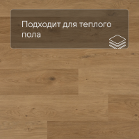 QS Second choice Alpha BLOS  SPE40320 - AVSPU 40320 Дуб береговой медовый