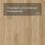 QS SPC Atmosphere ASPC 20251 Дуб золотой