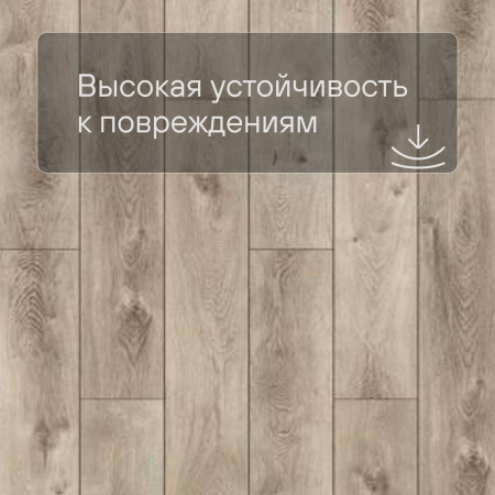 QS SPC Canyon CSPC 20298 Дуб северный натуральный