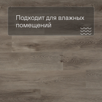 QS SPC Canyon CSPC 20296 Дуб северный греш