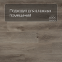QS SPC Canyon CSPC 20296 Дуб северный греш