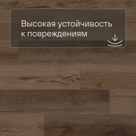 QS SPC Atmosphere ASPC 20247 Дуб натуральный темный