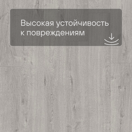 QS LIVYN Pulse Glue Plus PUGP 40201 Дуб хлопковый светло-серый