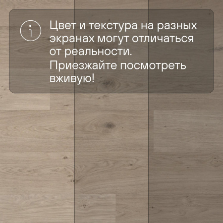 QS Second choice Alpha BLOS  SPE40322 - AVSPU 40322 Дуб береговой песчаный
