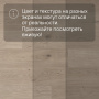 QS Second choice Alpha BLOS  SPE40322 - AVSPU 40322 Дуб береговой песчаный