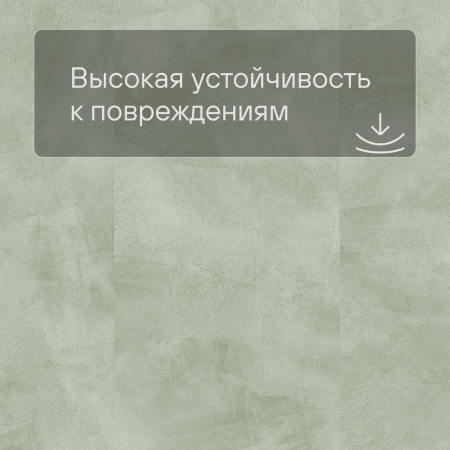 QS LIVYN Illume Click ILCL 40270 Нежный полевой