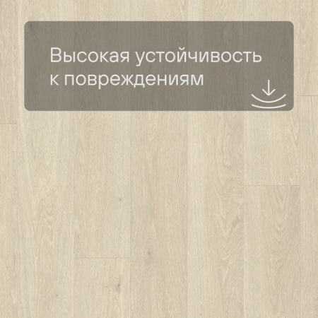 QS LIVYN Pulse Glue Plus PUGP 40080 Дуб морской бежевый
