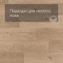 QS Second choice Alpha BLOS  SPE40321 - AVSPU 40321 Дуб береговой бежевый