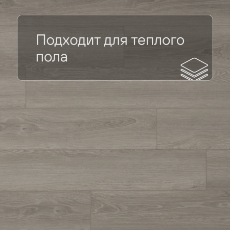 QS SPC Atmosphere ASPC 20248 Дуб серый гладкий