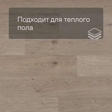 QS Second choice Alpha BLOS BASE  SPE40322 - AVSPT 40322 Дуб береговой песчаный