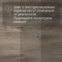 QS SPC Canyon CSPC 20296 Дуб северный греш