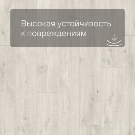 QS LIVYN Balance Click BACL 40128 Дуб каньон светлый пилёный