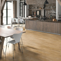 Quick Step LIVYN Balance Glue Plus BAGP 40039 Дуб каньон натуральный