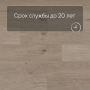QS Second choice Alpha BLOS  SPE40322 - AVSPU 40322 Дуб береговой песчаный