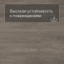 QS SPC Atmosphere ASPC 20242 Дуб греш