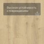 Quick Step LIVYN Balance Glue Plus BAGP 40156 Дуб королевский натуральный