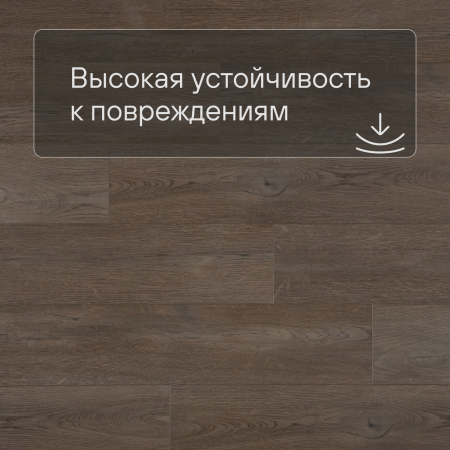 QS SPC Atmosphere ASPC 20244 Дуб коричневый