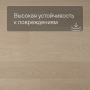 QS Second choice Alpha BLOS  SPE40277 - AVSPU 40277 Дуб молочный